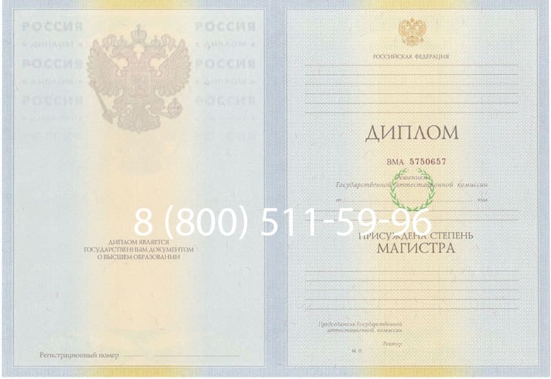 Купить Диплом магистра 2010-2011 годов в Жуковском Купить Диплом магистра 2010-2011 годов в Жуковском