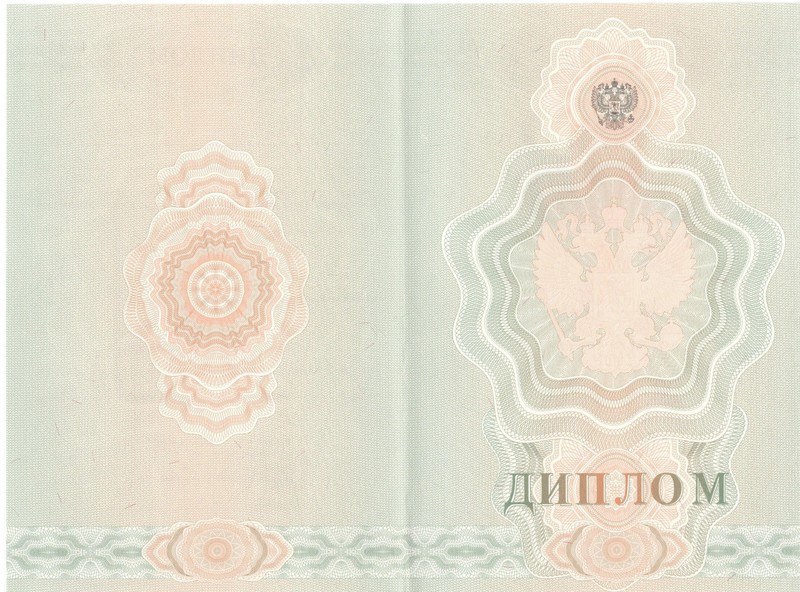 Купить Диплом о начальном образовании 2007-2009 годов в Жуковском Купить Диплом о начальном образовании 2007-2009 годов в Жуковском