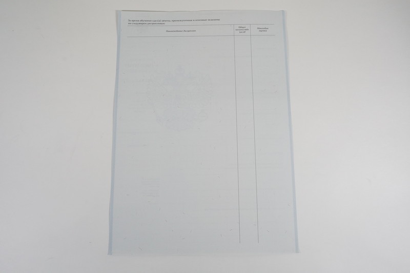 Диплом о начальном образовании 2007-2009 годов в Жуковском Диплом о начальном образовании 2007-2009 годов в Жуковском